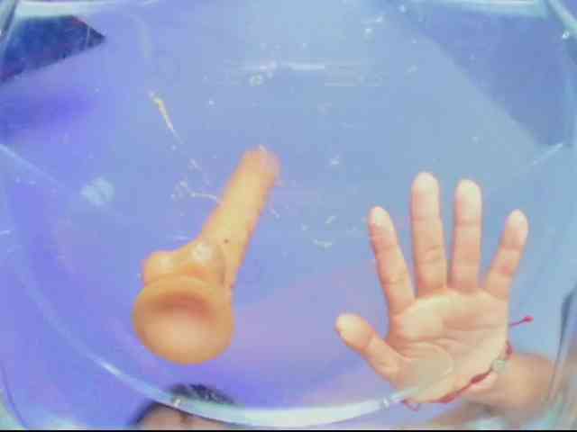 Scott-jennifer webcam