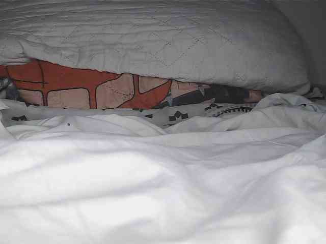 Roxy-star webcam