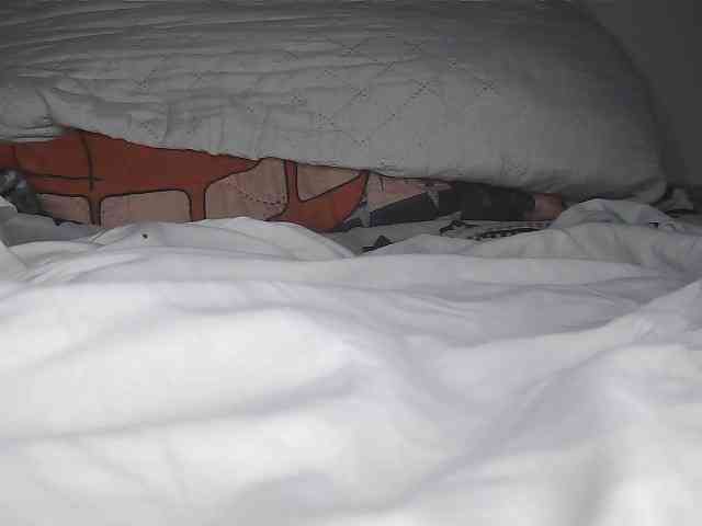 Roxy-star webcam