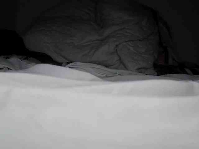 Roxy-star webcam