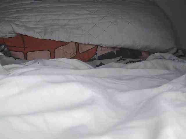 Roxy-star webcam