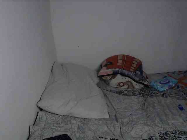 Roxy-star webcam