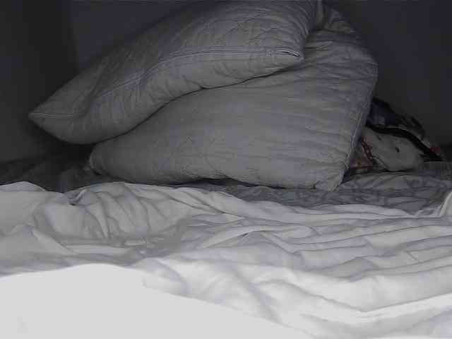Roxy-star webcam