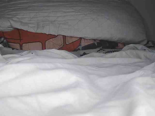 Roxy-star webcam