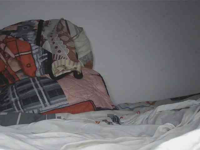 Roxy-star webcam