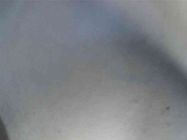 Roxy-star webcam