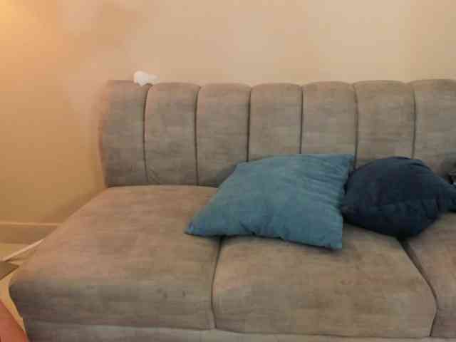startlindagirlssome webcam
