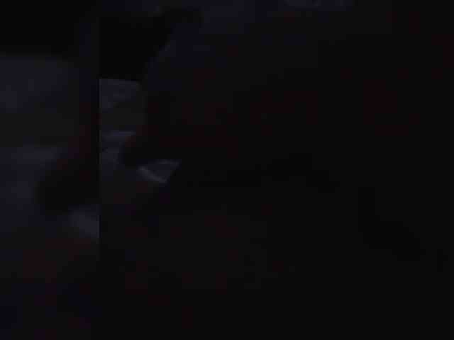 Clocry