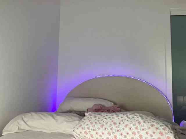 bbybreex webcam