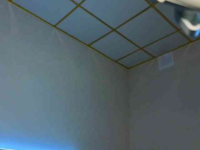 Lea-much webcam