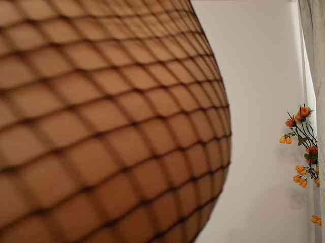 DaisyLuvsYou webcam