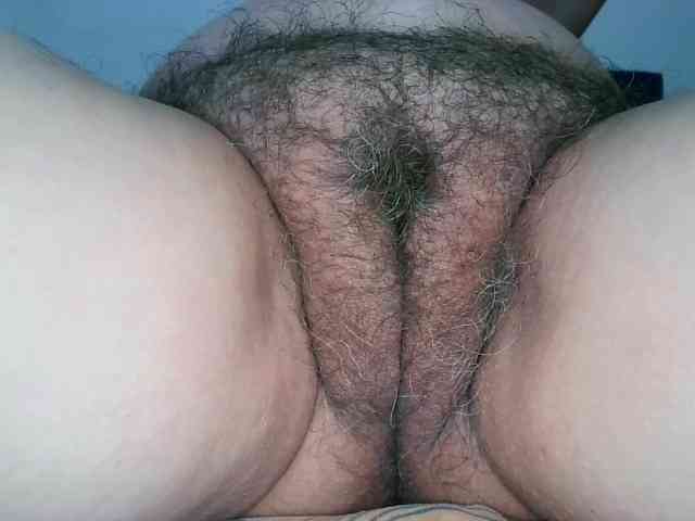 Modelo: Eliza688