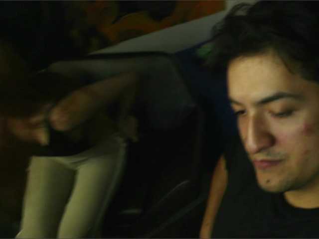 RoseSinsDomViktor