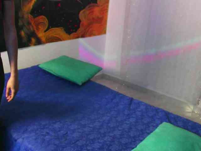 RoseSinsDomViktor webcam