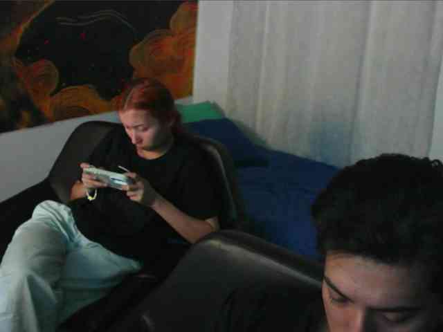 RoseSinsDomViktor webcam