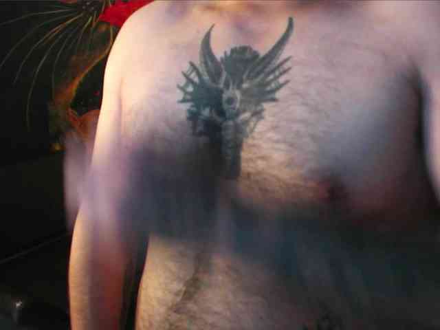 Model: RoseSinsDomViktor