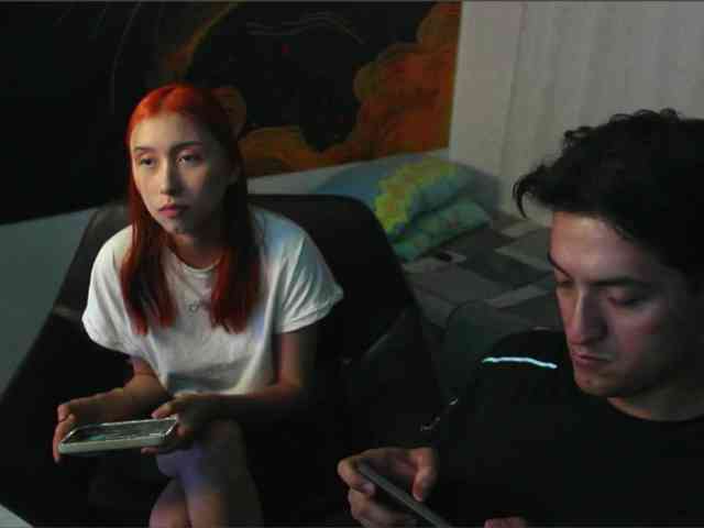 RoseSinsDomViktor webcam