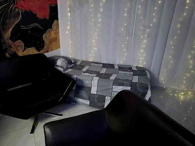 RoseSinsDomViktor webcam