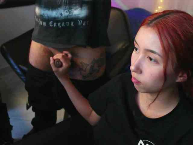 RoseSinsDomViktor webcam