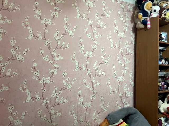 velvetnightx online