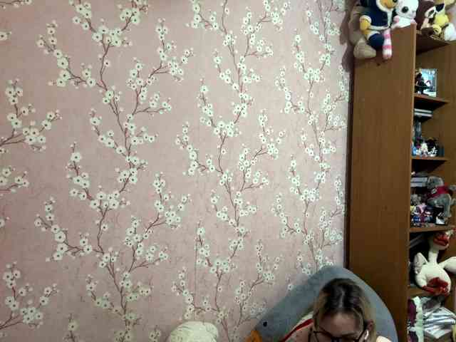 VelvetNightX webcam