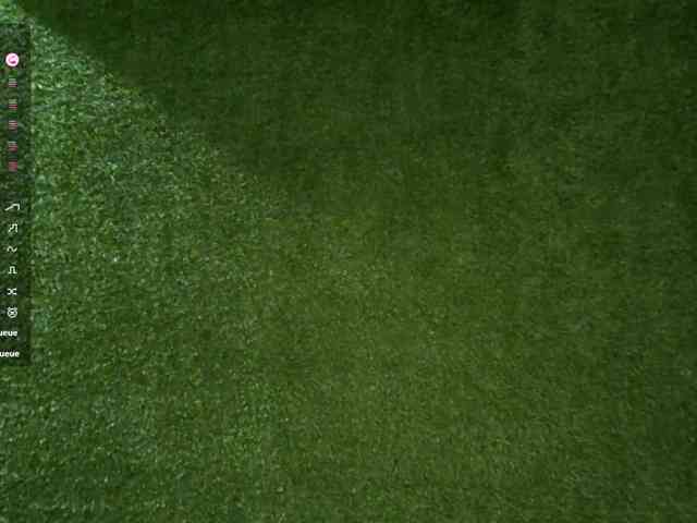 DrucillaArterberry webcam