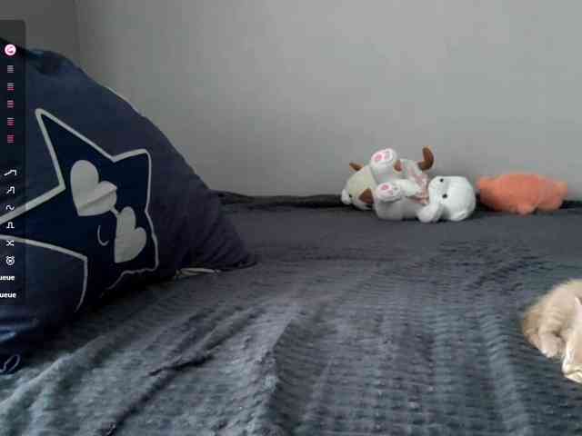 DrucillaArterberry webcam