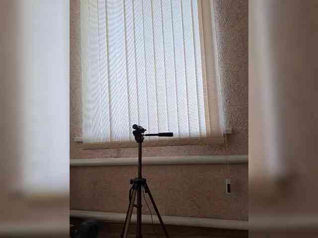 Ksenia-Cat444 webcam