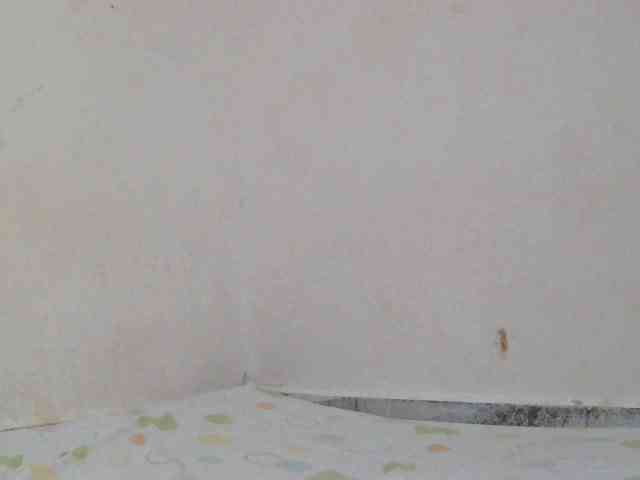 Judiah webcam