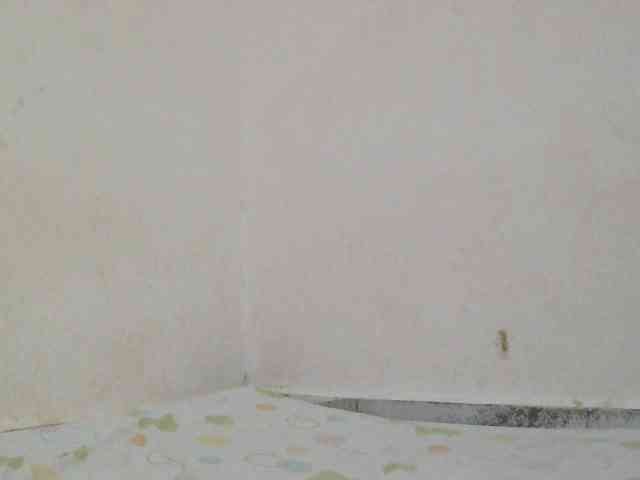 Judiah webcam