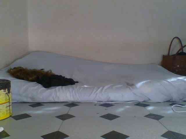 Judiah webcam