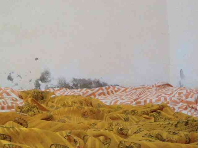 Judiah webcam