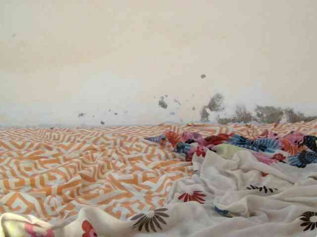 Judiah webcam