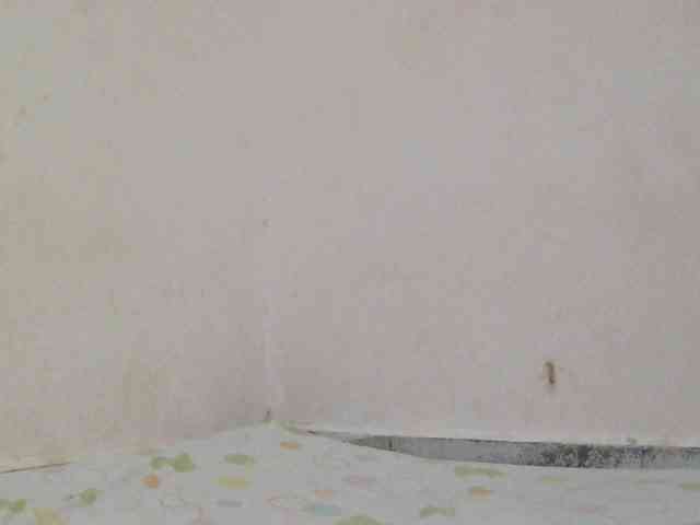 Judiah webcam