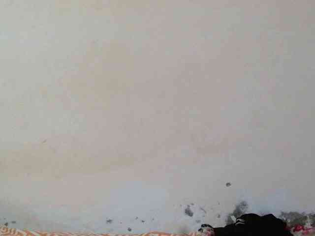 Judiah webcam