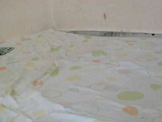 Judiah webcam