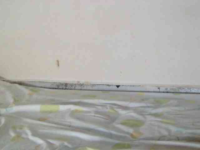 Judiah webcam