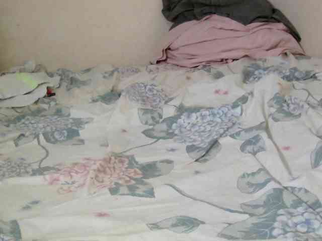 Judiah webcam