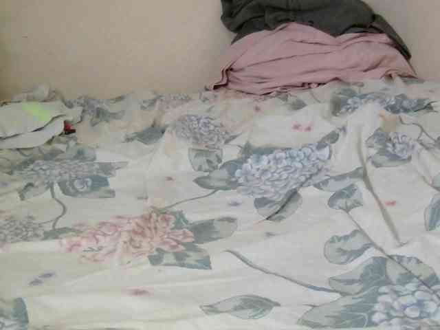 Judiah webcam