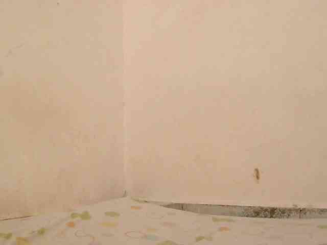 Judiah webcam