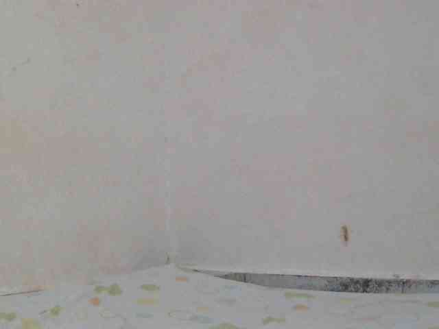 Judiah webcam