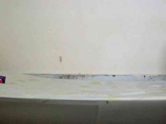 Judiah webcam