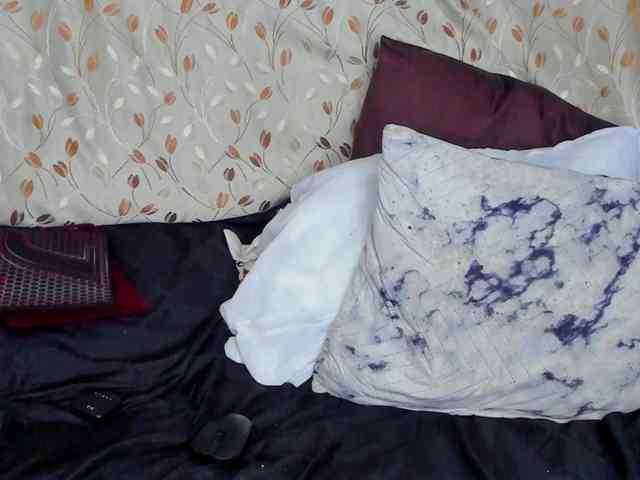 nasurit webcam