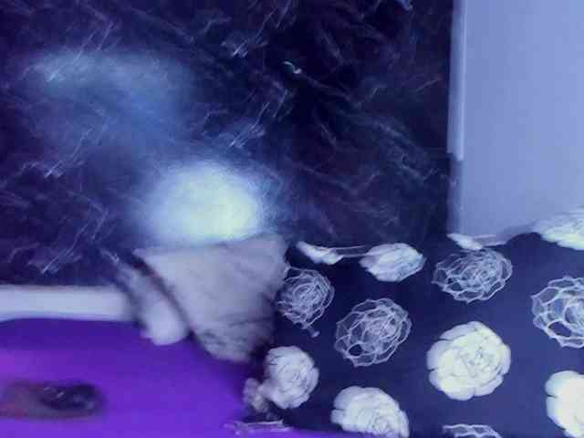 nasurit webcam