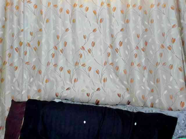 nasurit webcam