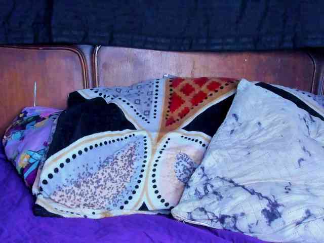 nasurit webcam