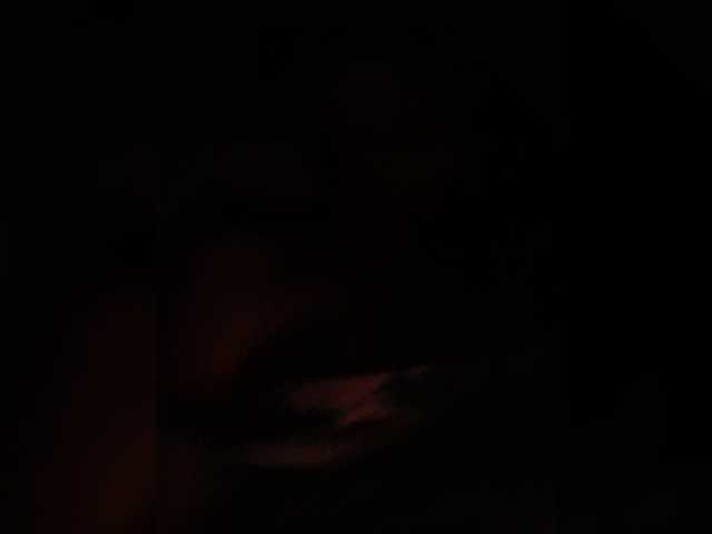 Liza1606