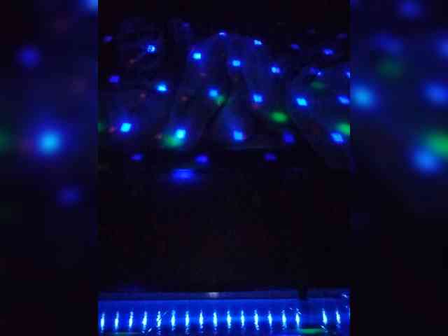 LINALUNERA1 webcam