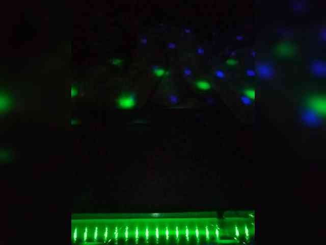 LINALUNERA1 webcam