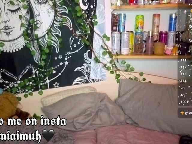 bornindark webcam